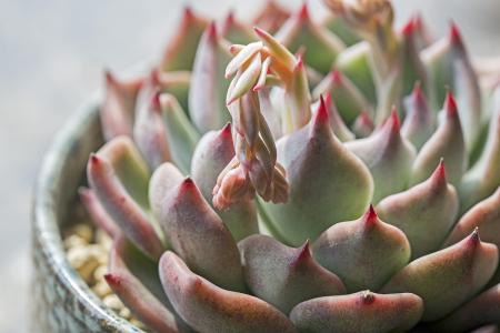 ƶ|ɽ׵طƶǨƶ˿ȫȶƶ